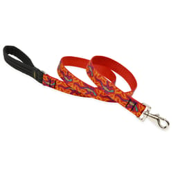 LupinePet Original Designs Multicolor Go Go Gecko Nylon Dog Leash
