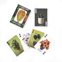 Kikkerland 3D Plant Plant Cards 52 pc