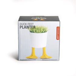 Kikkerland 2.55 in. H X 3.93 in. W X 3.93 in. D Ceramic Duck Feet Planter White