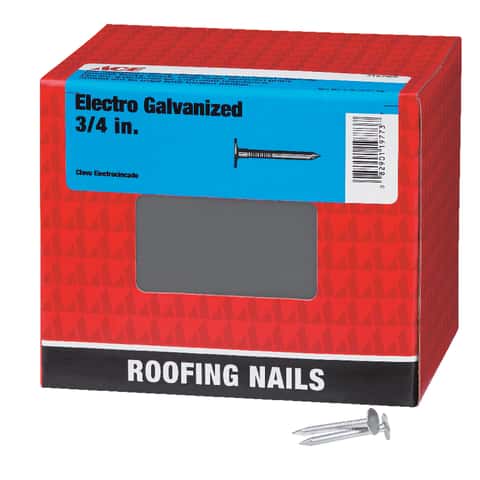 Ace 3 in. Roofing Electro-Galvanized Steel Nail Large Head 5 lb