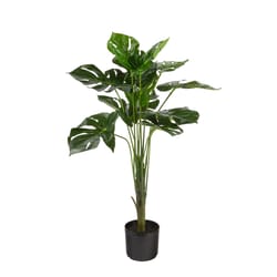 Naturae Decor 29 in. H Plastic Artificial Monstera Green