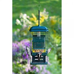 Brome Bird Care Wild Bird Acrylic/Stainless Steel Squirrel Feeder