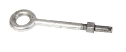 Baron 3/8 in. X 6 in. L Hot Dipped Galvanized Steel Eyebolt Nut Included