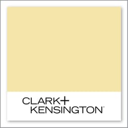 Clark+Kensington Rubber Ducky 19C-3