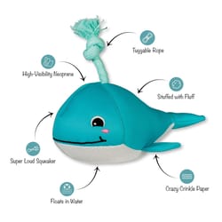 Pet Shop by Fringe Studio Blue/White Neoprene Whale Dog Toy 1 pk