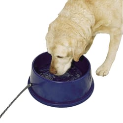 K&H Pet Prodcuts Blue Round Plastic 96 oz Heated Pet Bowl For Dogs