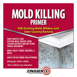 Zinsser White Water-Based Acrylic Mold Killing Primer 1 gal