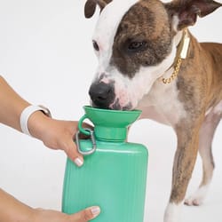 Springer Green Growler Plastic Pet Travel Bottle For Dogs