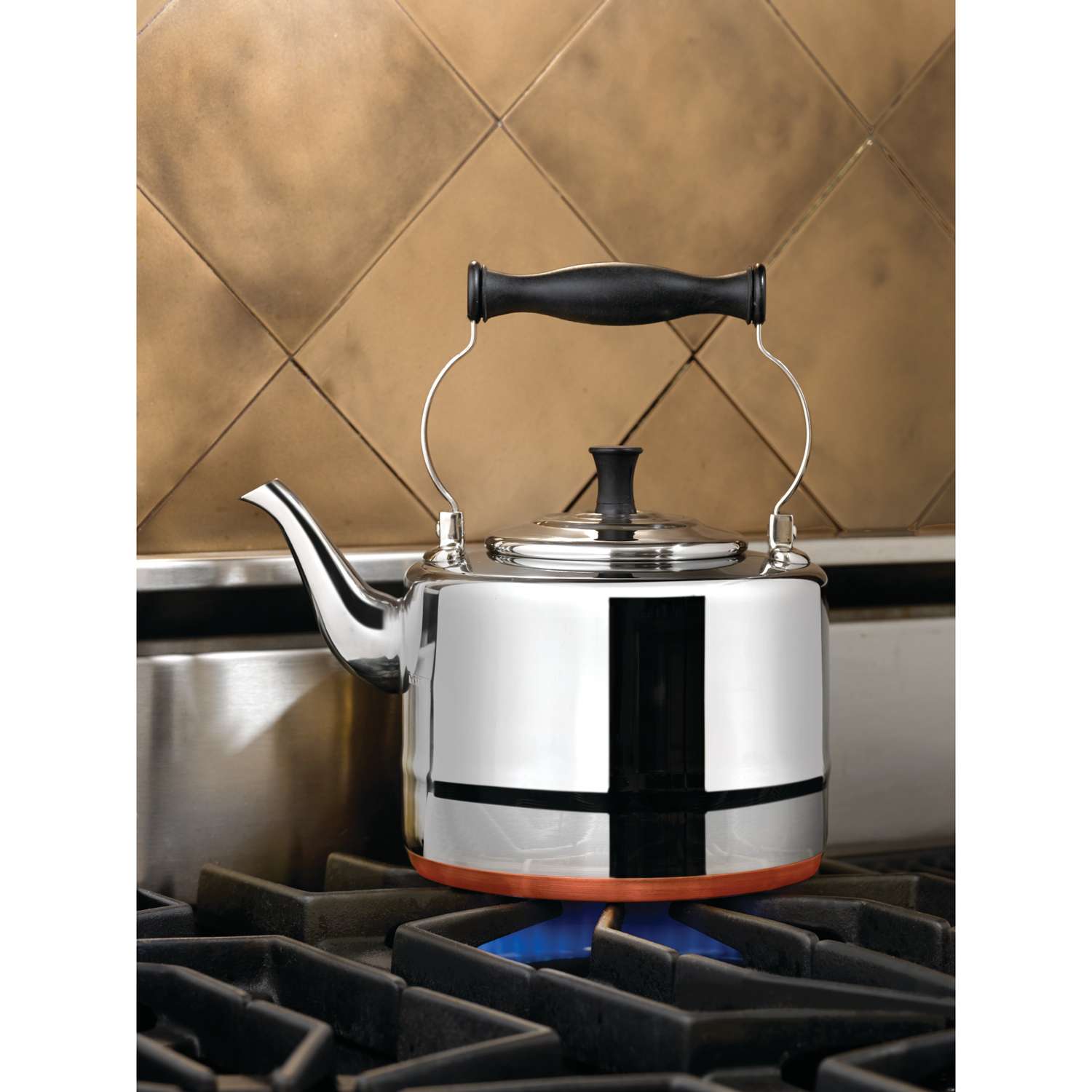 Bonjour 2-Quart Tea Kettle Stainless Steel 53087 - Best Buy