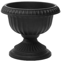 Novelty 11 in. H X 12 in. W X 12 in. D X 12 in. D Resin Grecian Urn Urn Planter Black