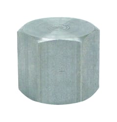 Anvil 1/4 in. FPT Malleable Iron Cap