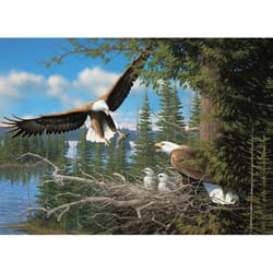 Cobble Hill Nesting Eagles Jigsaw Puzzle 1000 pc