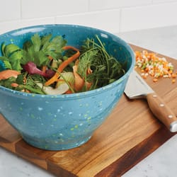 Rachael Ray Melamine Blue Bowl 1 pc