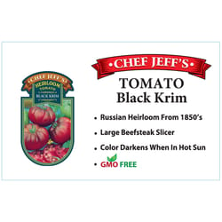 Chef Jeff Purple Heirloom Black Krim Tomato Vegetable Plant