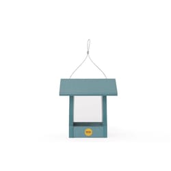 Birds Choice Bluebirds Plastic Hopper Bird Feeder