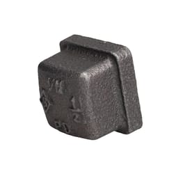 STZ Industries 1/2 in. FIP each Black Iron Cap