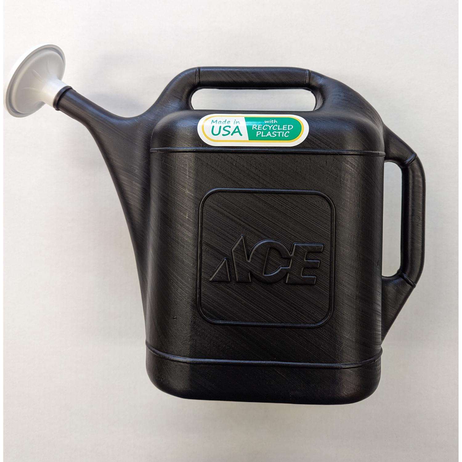 Ace Black 2 gal Plastic Watering Can Ace Hardware