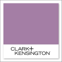 Clark+Kensington Purple Prose 43D-3