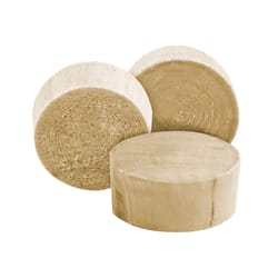 Richelieu Flat Birch Head Plug 3/8 in. D X .38 in. L 25 pk Natural