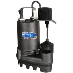 The Basement Watchdog Professional 1/3 HP 4,000 gph Cast Iron Vertical Float Switch AC Submersible S