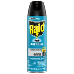 Raid Ant Killer Aerosol 17.5 oz