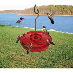 Songbird Essentials Hummingbird 16 oz Metal/Plastic Hummingbird Nectar Bird Feeder 6 ports