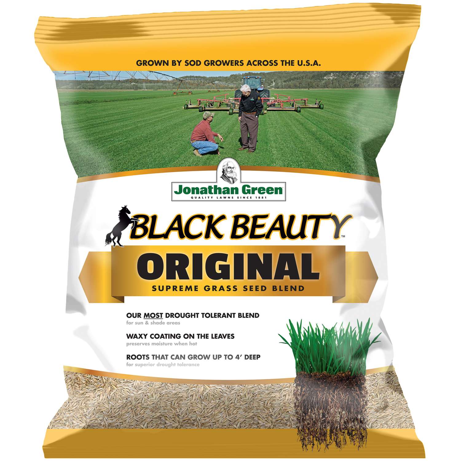 Jonathan Green Black Beauty Original Tall Fescue Sun/Partial Shade
