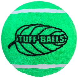 Petsport Tuff Balls Green Polyster/Rubber Jr. Mint Tennis Balls 2 pk