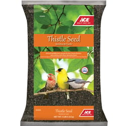 Ace Songbird Nyger Thistle Seed Wild Bird Food 3 lb