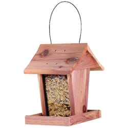 Valley Splendor Songbird Cedar Jr Hopper Bird Feeder