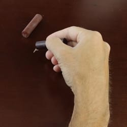 DAP Plastic Wood True Browns Blend Sticks 0.86 oz