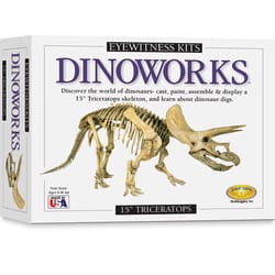 SD Toyz Eyewitness Kits Triceratops Multicolored