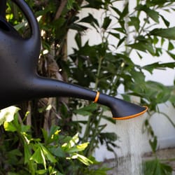 Bloem EZ Pour Black 2.6 gal Resin Watering Can