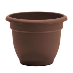 Bloem Ariana 10.25 in. H X 13 in. W Resin Traditional Planter Chocolate