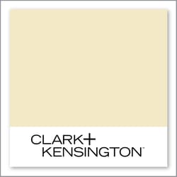 Clark+Kensington Fine Porcelain 20B-1