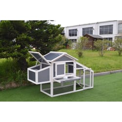 Coop King Polycarbonate/Wood Nesting Boxes Gray/White 40 in. H X 69 in. W X 26 in. D