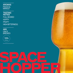Pinter Space Hopper Beer 12 pt 1 pk