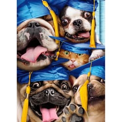 Avanti Seasonal Dog & Cat Grads in Photo Booth Graduation Card Paper 2 pc