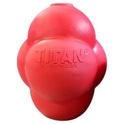 Titan Red Rubber Busy Bounce Dog Toy Medium 1 pk