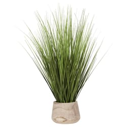 DW Silks 20 in. H X 8 in. L Polyester Onion Grass in Wood Planter
