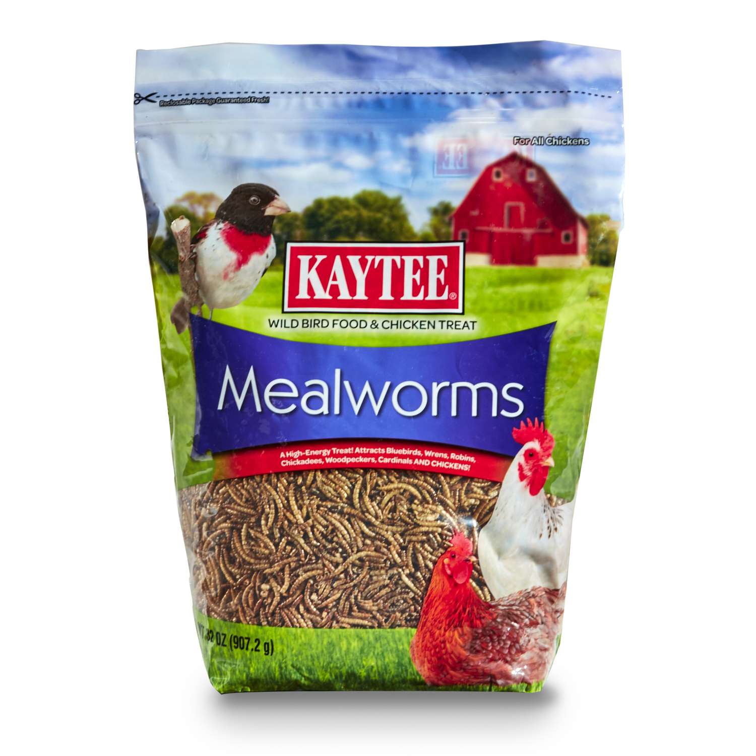 Kaytee Mealworms Wild Bird/Poultry Mealworms Dried Mealworm 32 oz