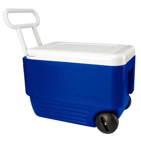 Igloo cooler ace hot sale hardware