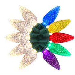 Celebrations Classic LED C6 Multicolored/Warm White 50 ct String Christmas Lights 16 ft.