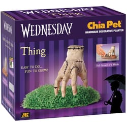 Chia Pet Wednesday Thing Planter 1 pk