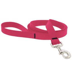 LupinePet Splash Neon Pink BioThane Dog Leash One Size Fits All