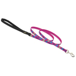 LupinePet Original Designs Multicolor Wing It Nylon Dog Leash