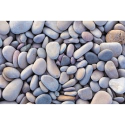 Locally Sourced Egg Natural River Stone Decorative Stone 0.5 cu ft