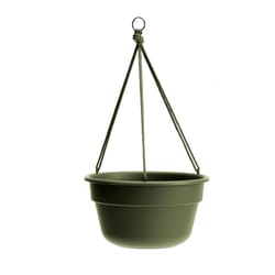 Bloem Dura Cotta 6.8 in. H X 12.5 in. W X 12.4 in. D Resin Hanging Basket Living Green