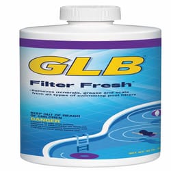 GLB Filter Fresh Liquid Filter Cleaner 32 oz