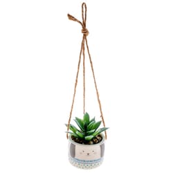 Karma 2 in. H X 2 in. L Multicolored Ceramic Hanging Succulent Pot